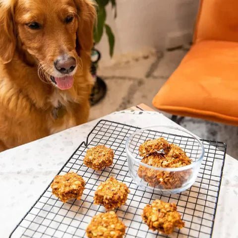 Hondenkoekjes van pulp 