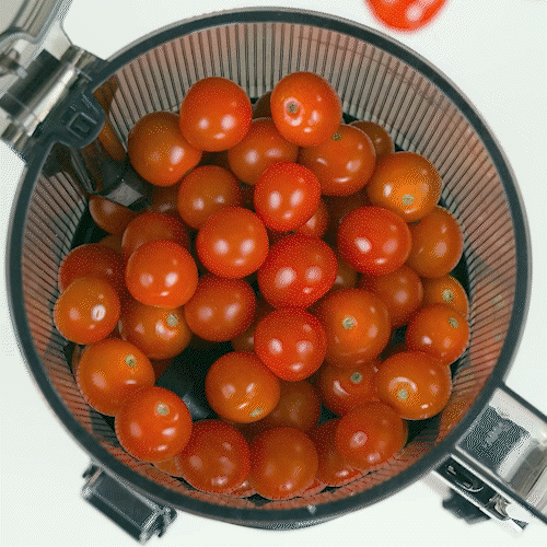 AUTO10S HANDSFREE SLOW JUICER 