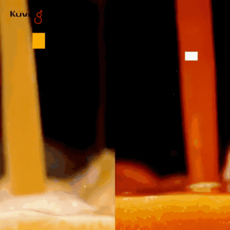 CB1000 Professionele Automatische Vacuüm Blender 