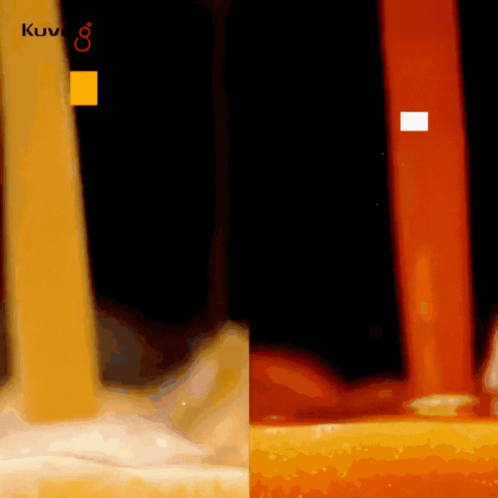 CB1000 Professionele Automatische Vacuüm Blender 