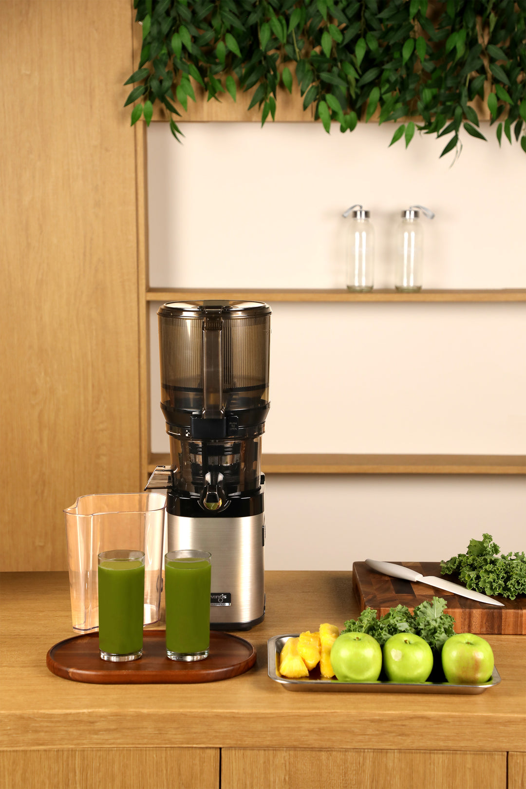 CS800 Whole Slow Juicer Master Chef