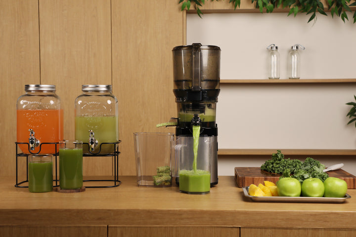 CS800 Whole Slow Juicer Master Chef