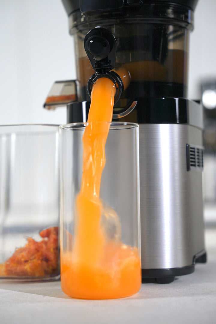 CS800 Whole Slow Juicer Master Chef