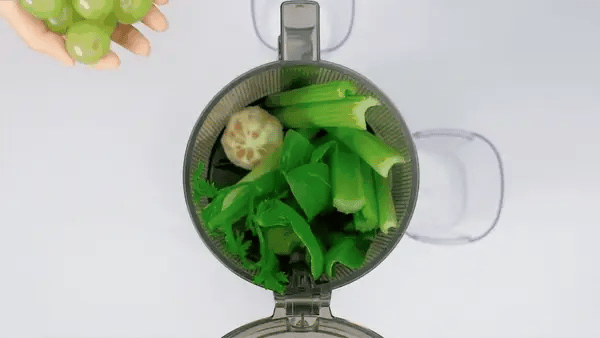 AUTO10 HOPPER (CONTAINER: NO LID) - Kuvings Deutschland