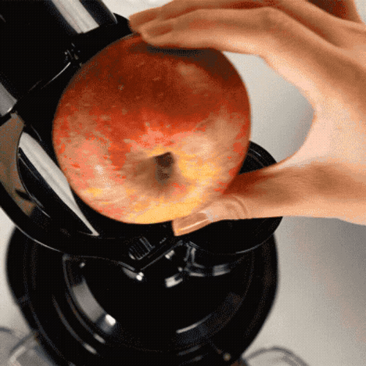 REVO830 WHOLE SLOW JUICER